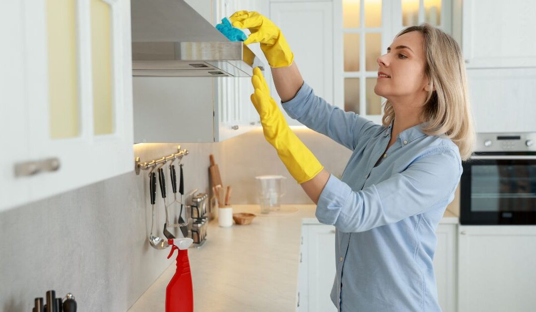 The Ultimate Guide to Cleaning & Kitchen Care Products for a Spotless Kitchen